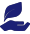 开元国际
